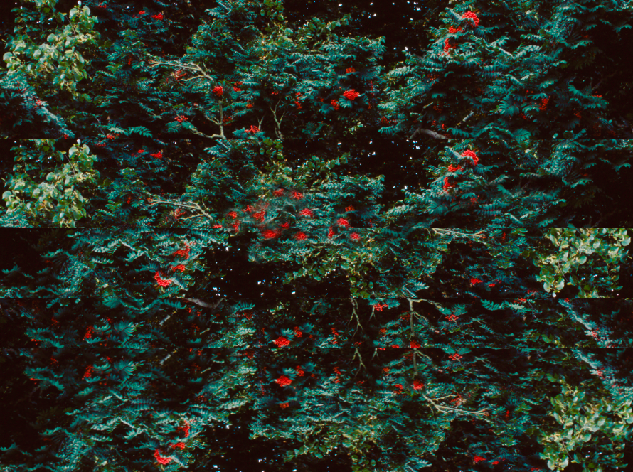 Consultation With Professionals