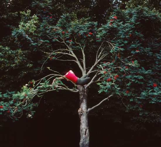 Cuerpo-Arbol